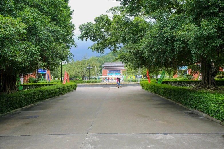 a person riding a bike down the middle of an outdoor park