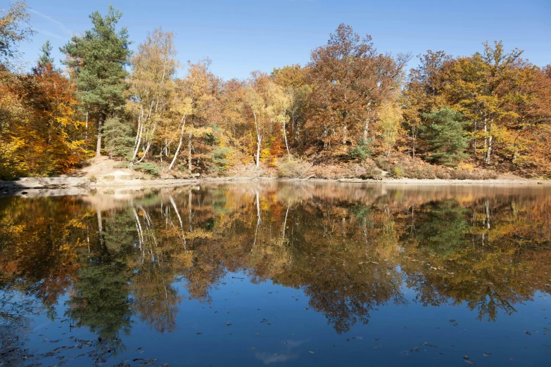 a body of water surrounded by fall colored trees