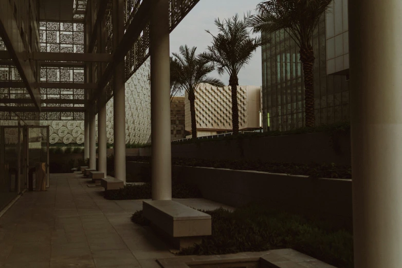 a couple of benches under a glass building