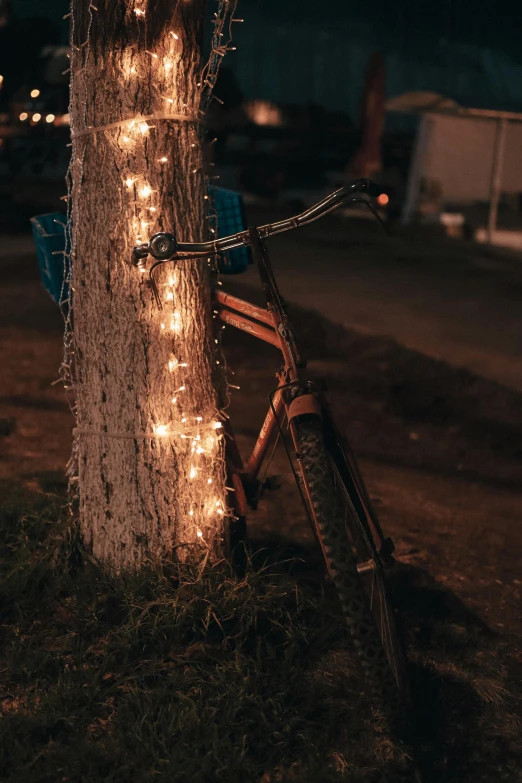 a bicycle parked next to a tree filled with lights