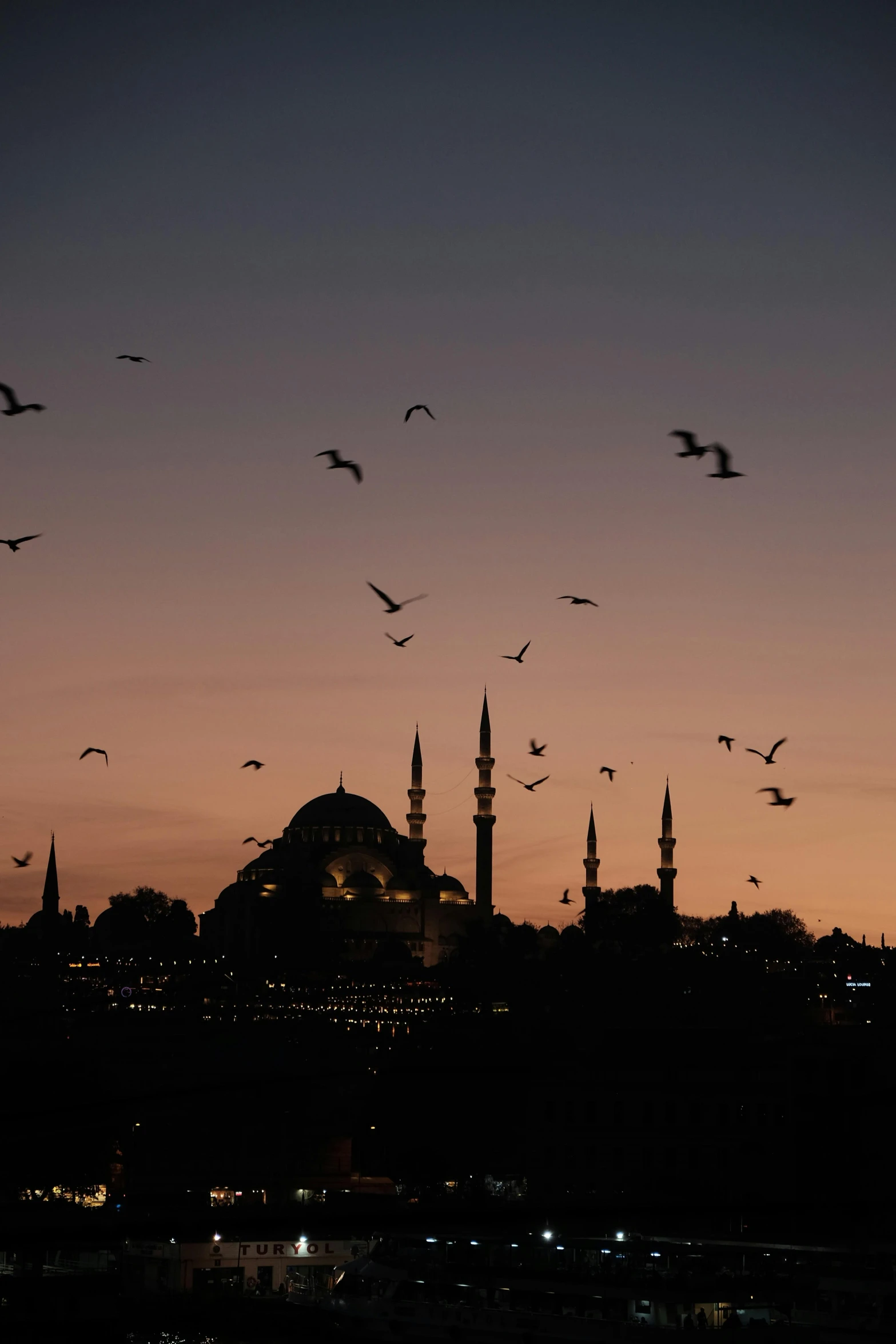 a flock of birds flying in front of a large building at night