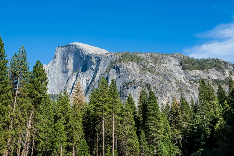 a mountain is seen with lots of trees