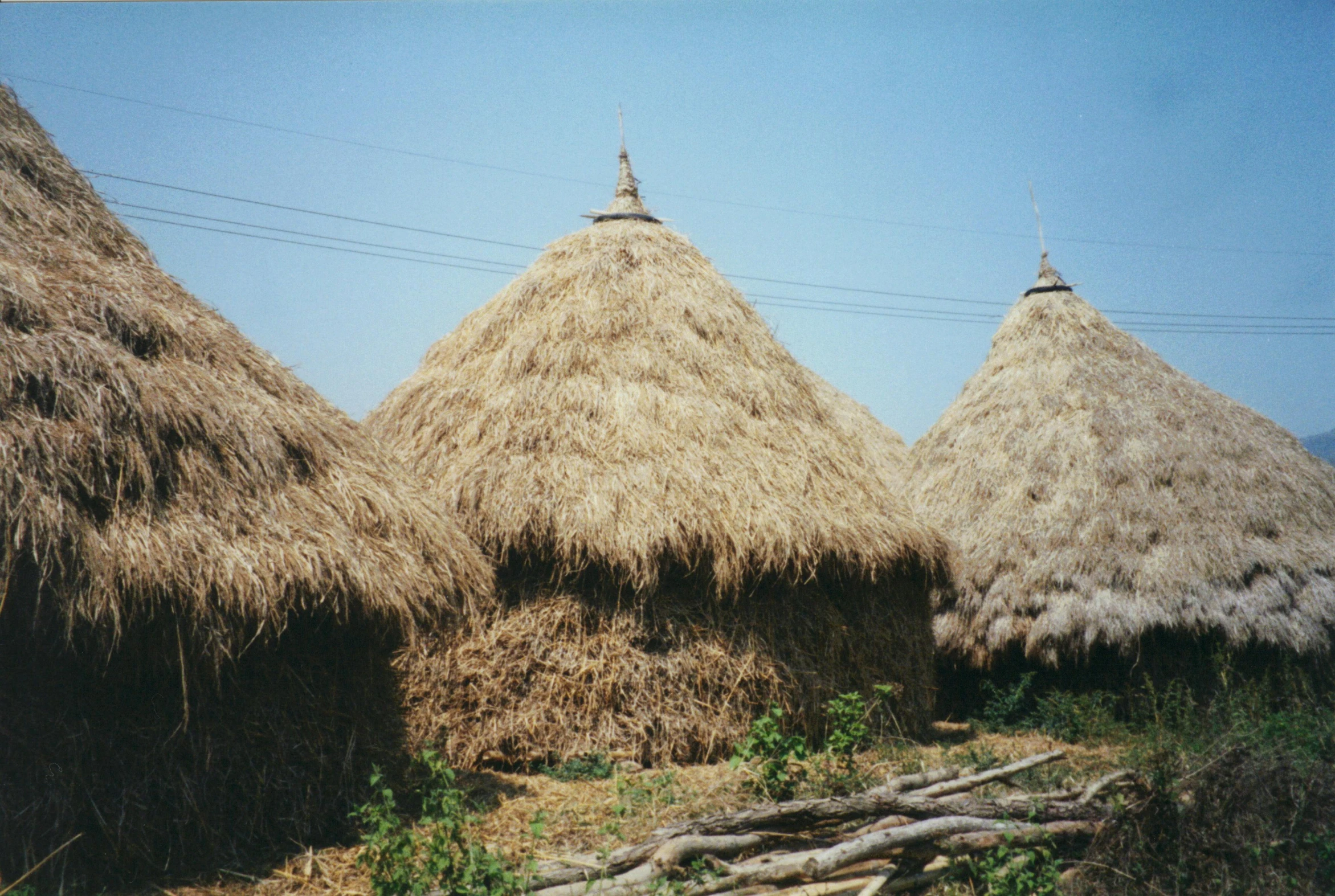 a number of straw huts on a field