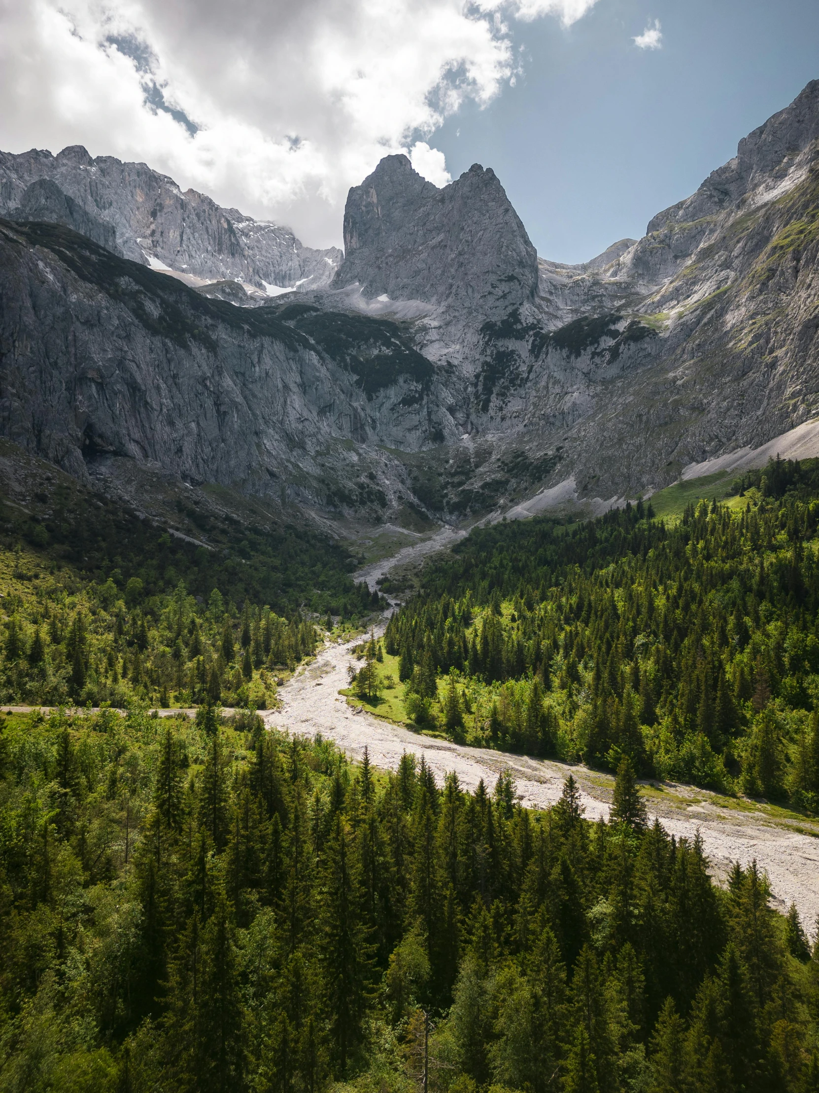 the mountains are very high with lush green trees