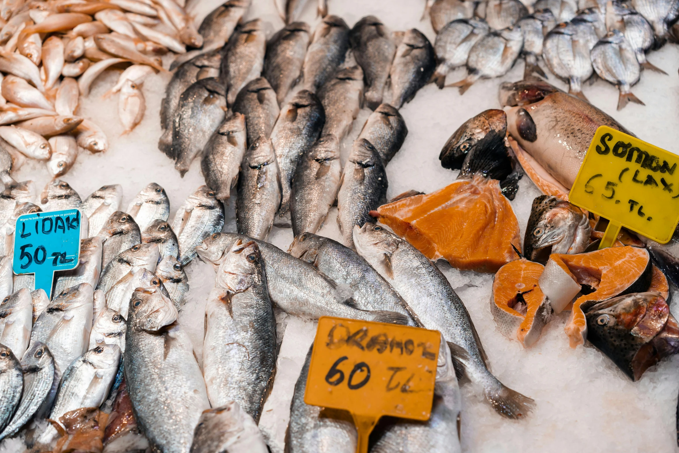 a display of fish and other seafood for sale