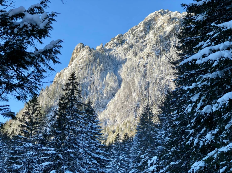 there is snow that is covering the trees on this mountain