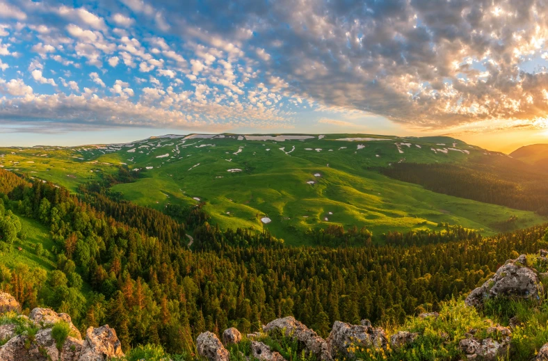 a scenic view of a green mountain and forest