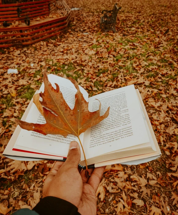 a person holding an open book with leaves on it