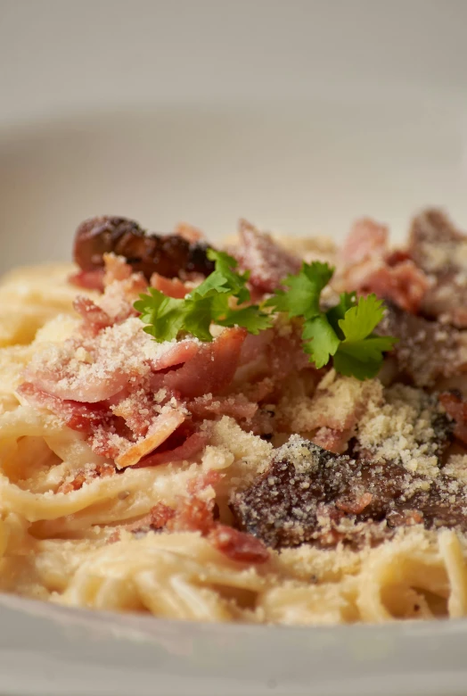 closeup of a plate with pasta, ham and parmesan cheese