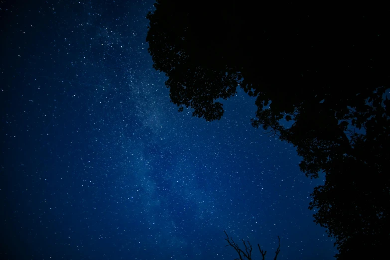 the night sky with stars above some trees