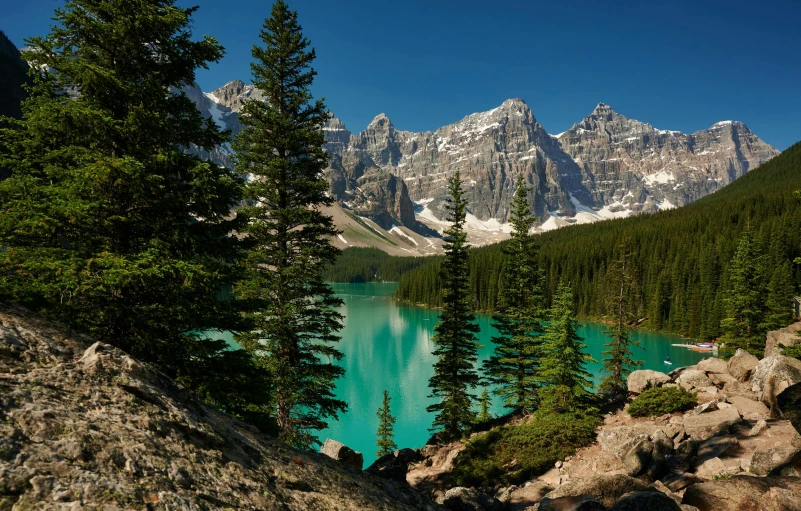 the trees line the shore of the lake