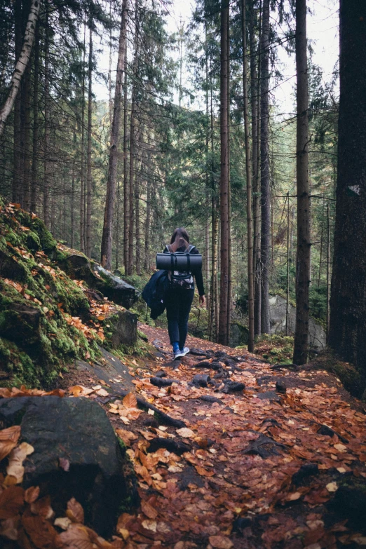 the person is carrying a bag in the woods