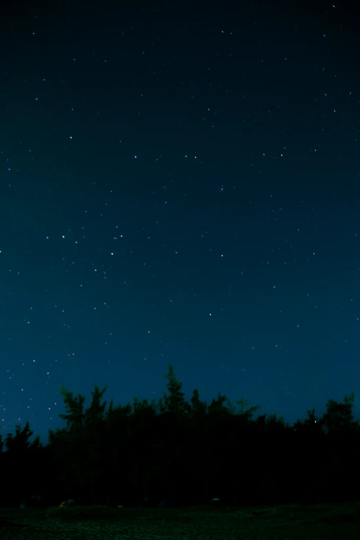 the stars are glowing over the dark forest