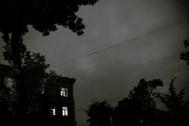 the view of a tree lined street in dark times