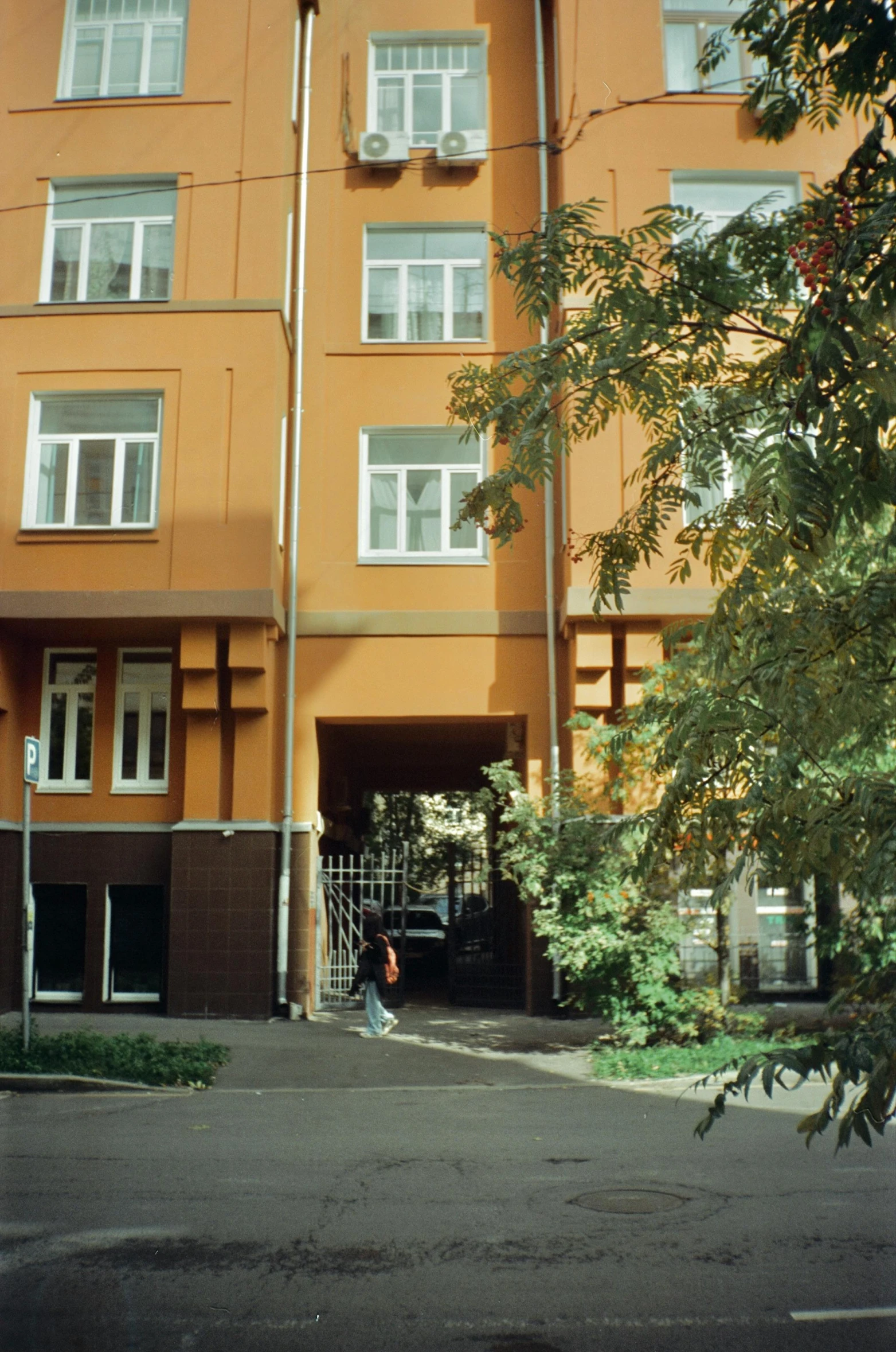 a tall yellow building next to a tree