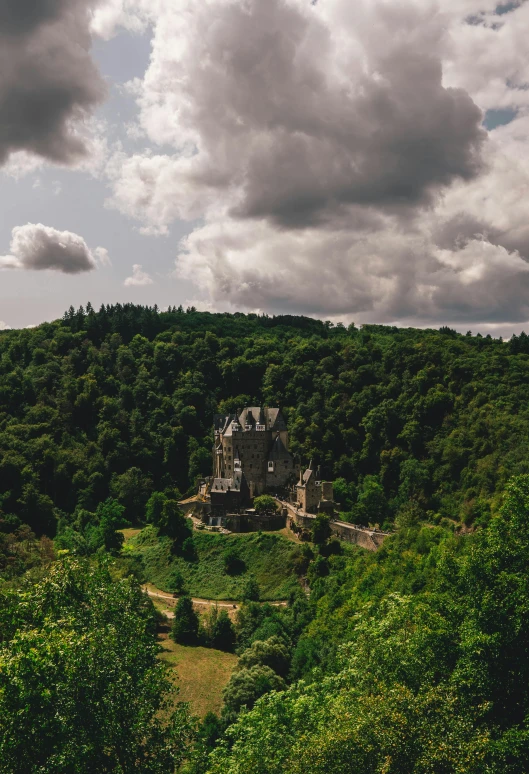 there is a house in the middle of a lush green forest