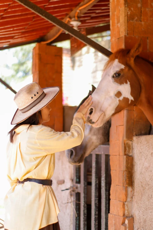 the woman with hat is petting a horse