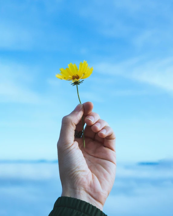 a yellow flower in someone's hand up in the air