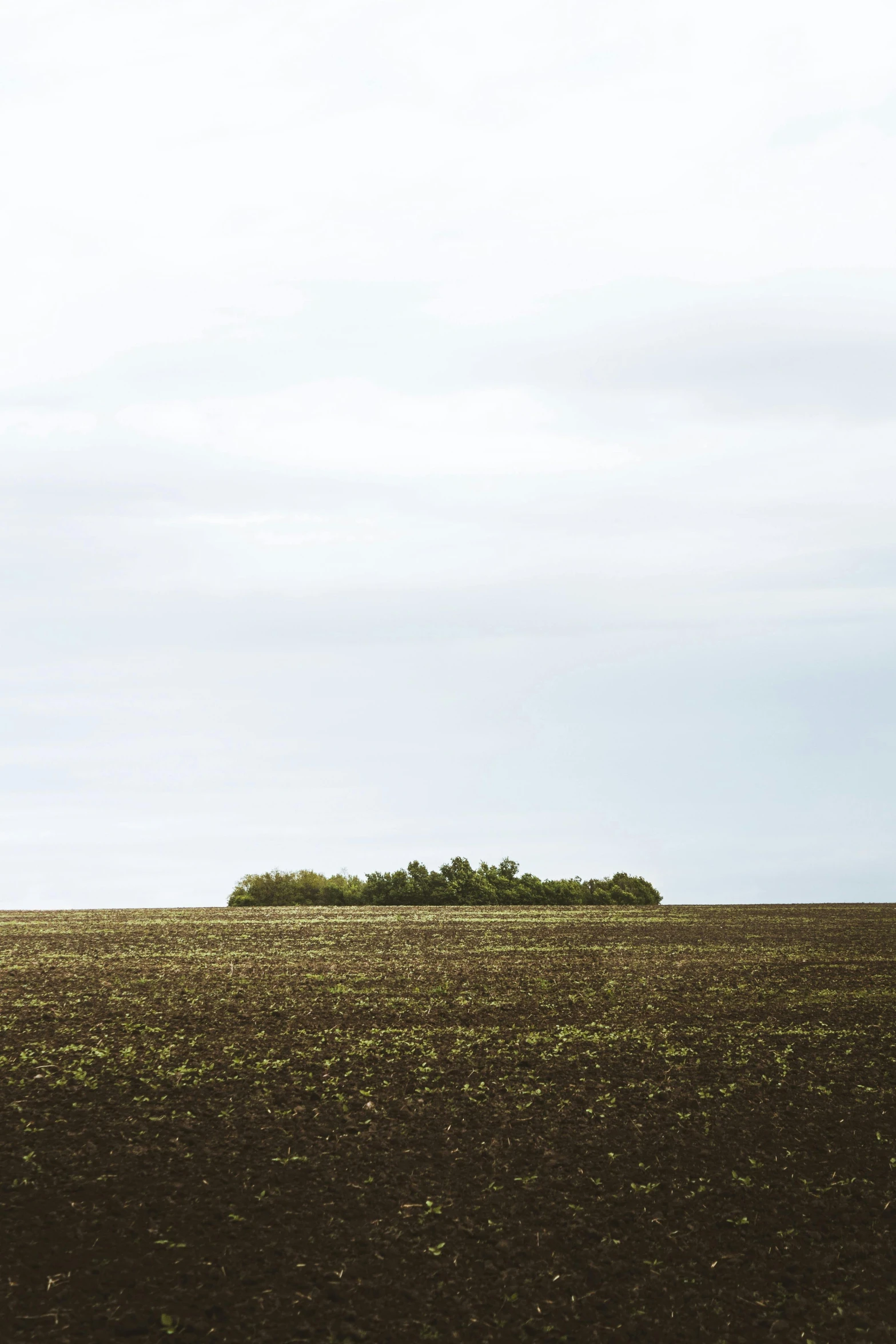 the sky is blue and overcast, and it is clear