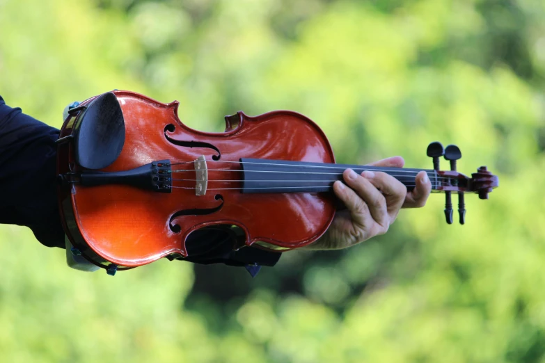 a closeup s of someone holding a violin