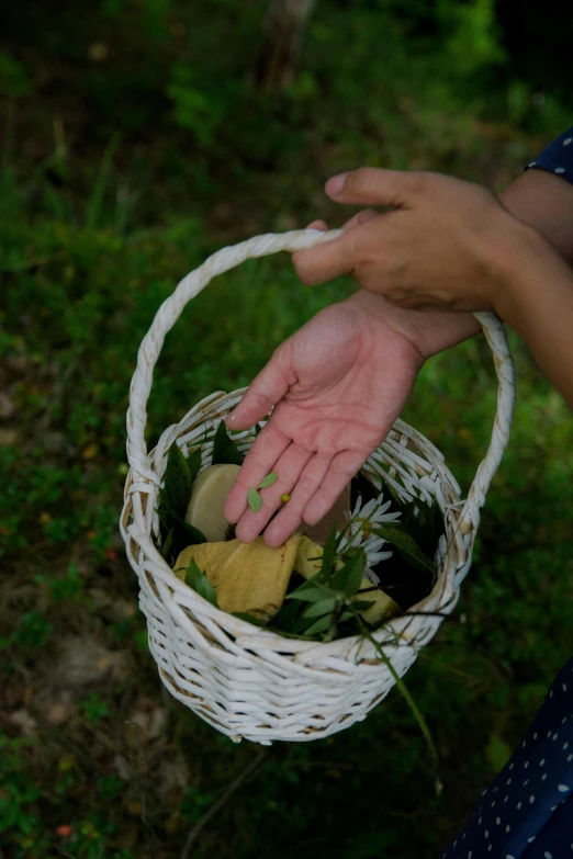 a person holding a white wicker basket filled with fruits and vegetables