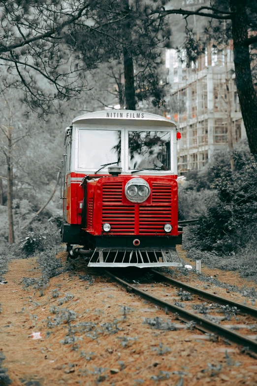 a train traveling through a wooded forest on a train track