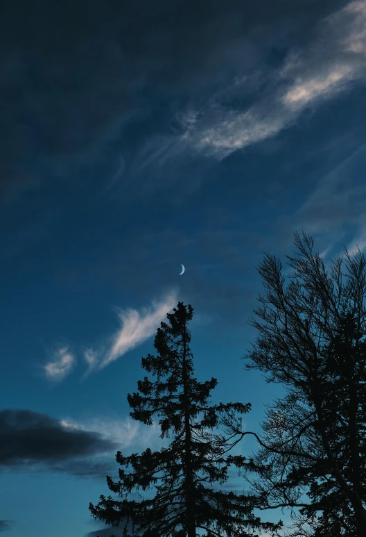 a tree in the distance under a cloudy sky