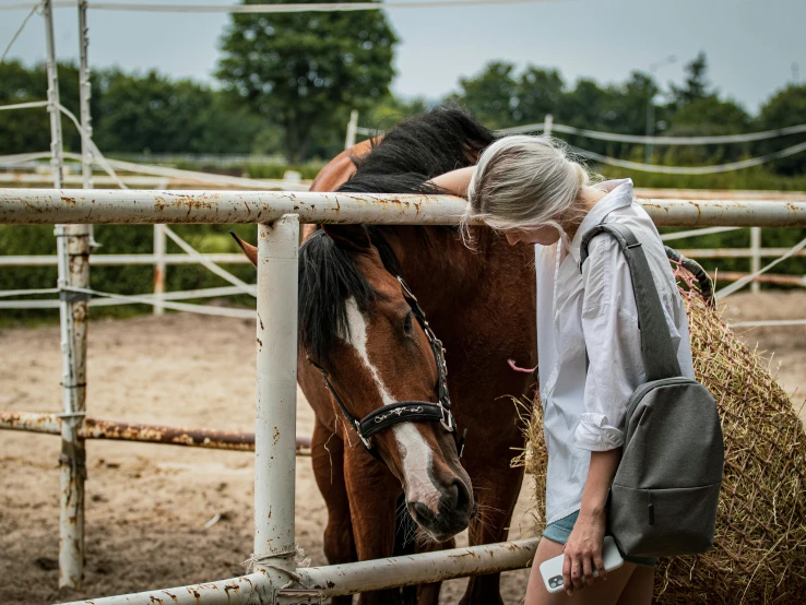 a horse is standing by a woman as it grazes on some hay