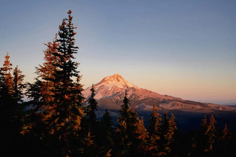 the mountain is rising high above the pine trees