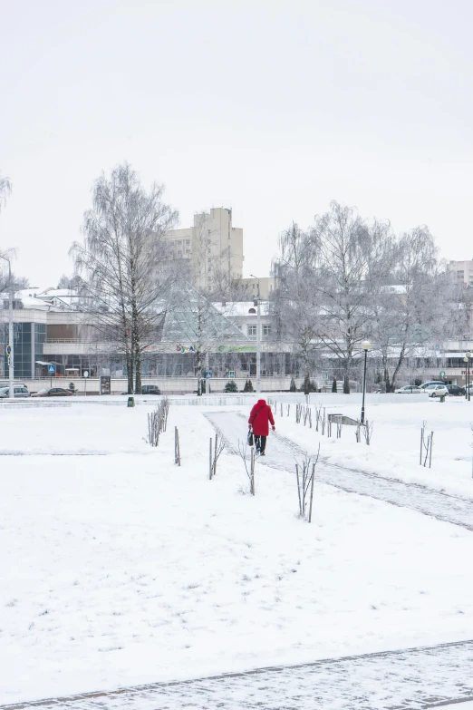 someone in red walks along a snowy field