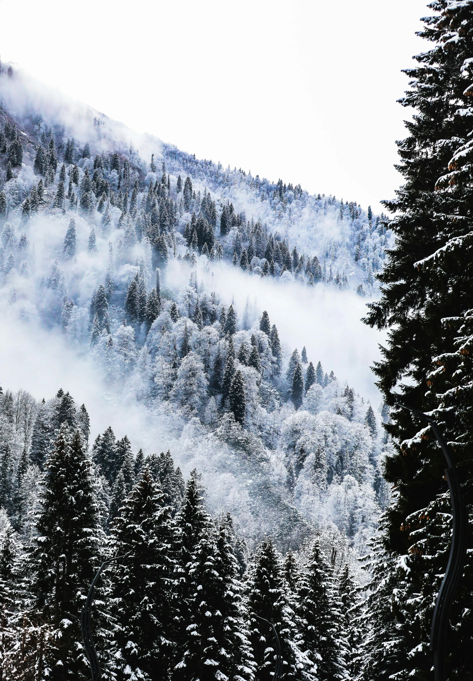 the mountains are covered with snow and fog