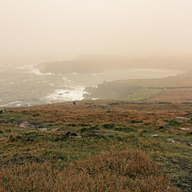 fog over the ocean with rocks and grass