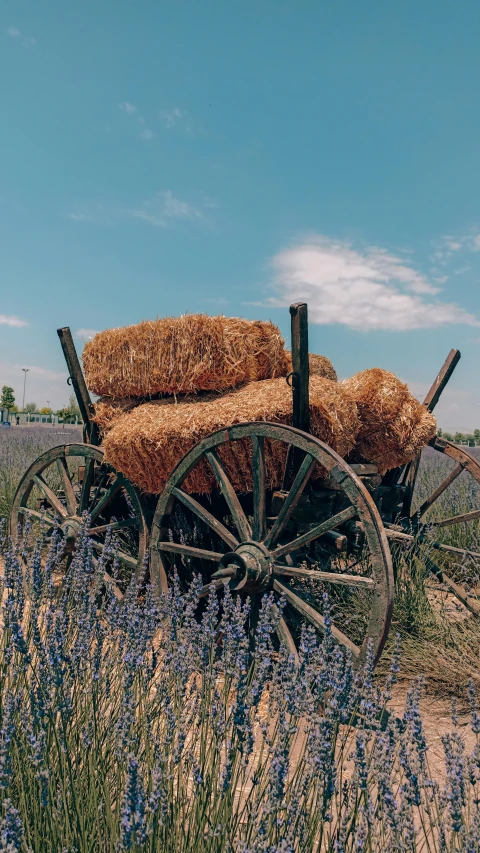 a old horse carriage with hay and bluebonnets sitting in a field