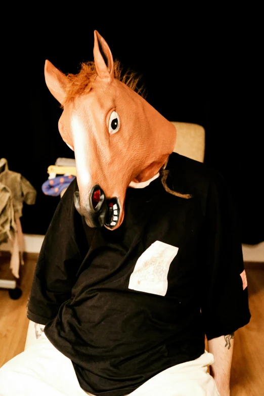 this horse mask is wearing a t - shirt with a number on it