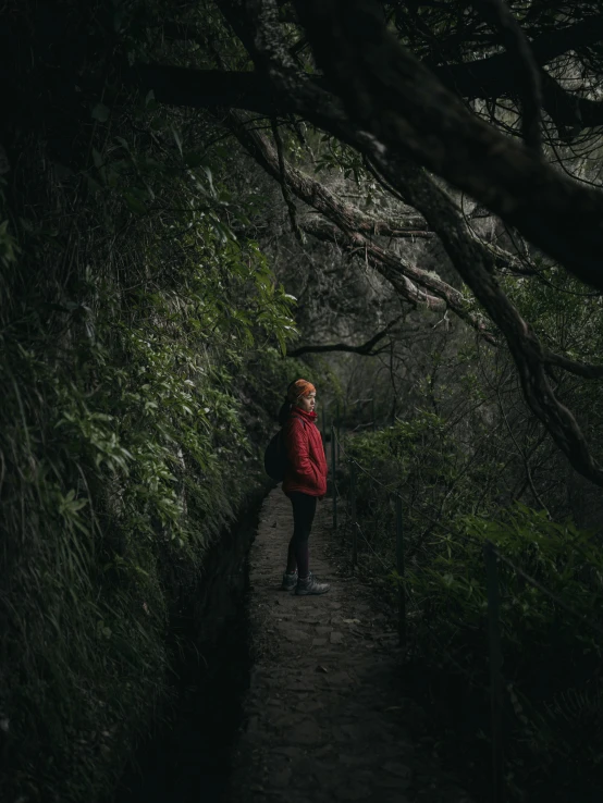 a woman walks up a path that is shaded by large tree nches