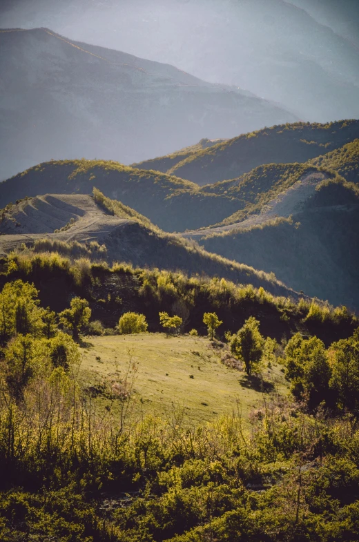 mountains with a single horse in the distance