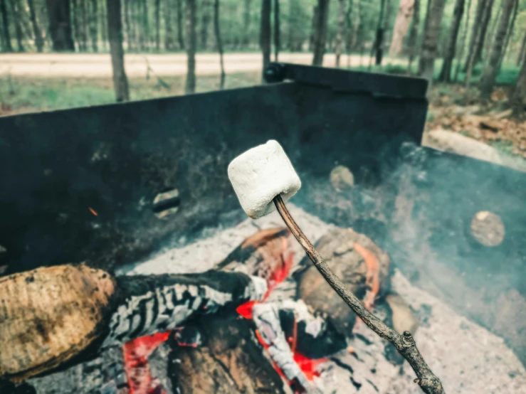 a marshmallow sticking out of an open campfire