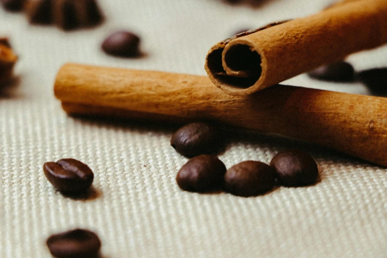 closeup of a cinnamon stick and coffee beans