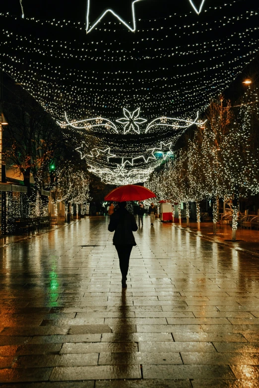 a person is standing in a rain soaked street