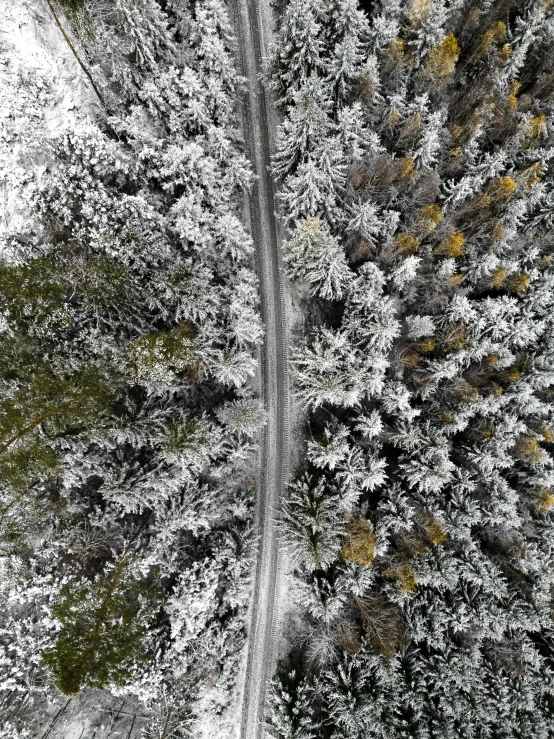 a snow covered forest with two road sides and a truck