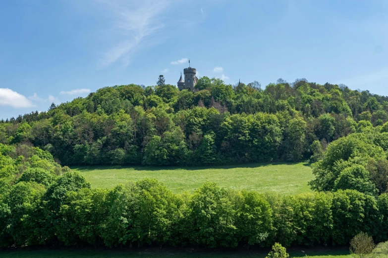 a hillside with several trees on top and a building in the middle of it