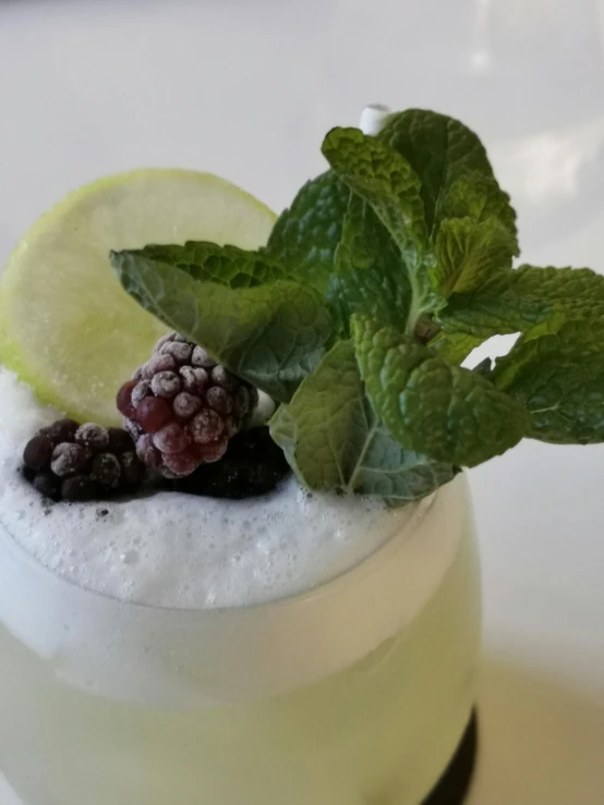 the drink has garnish, lime, blackberries and a mint