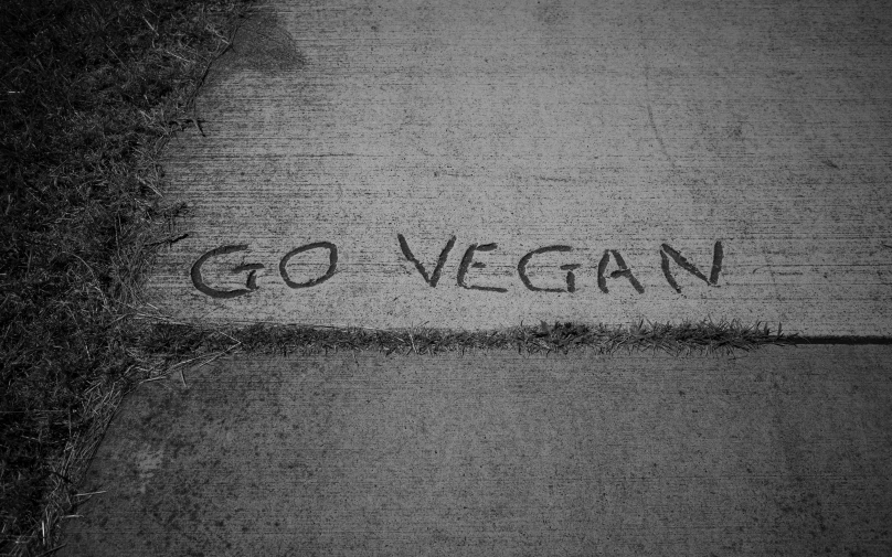 black and white po of sidewalk that has go vegan written on it