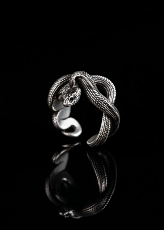 a white snake on black background with reflection