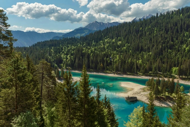 a river with water, trees and mountains behind it