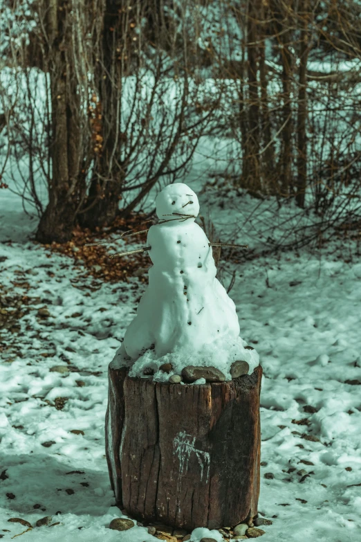 a wooden post is covered with a snowman made of logs