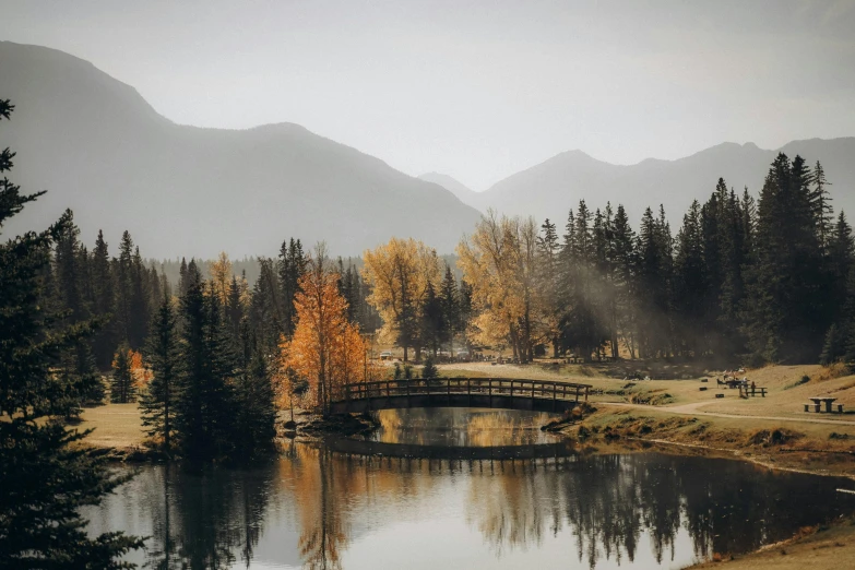 a lake near a forested area surrounded by tall trees