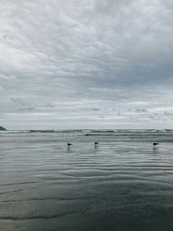 the people are riding on the surfboards in the water