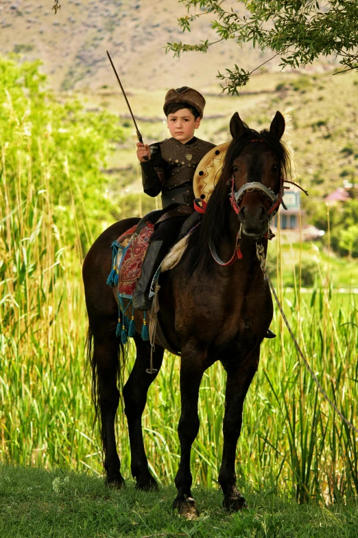 a small child is riding on a horse