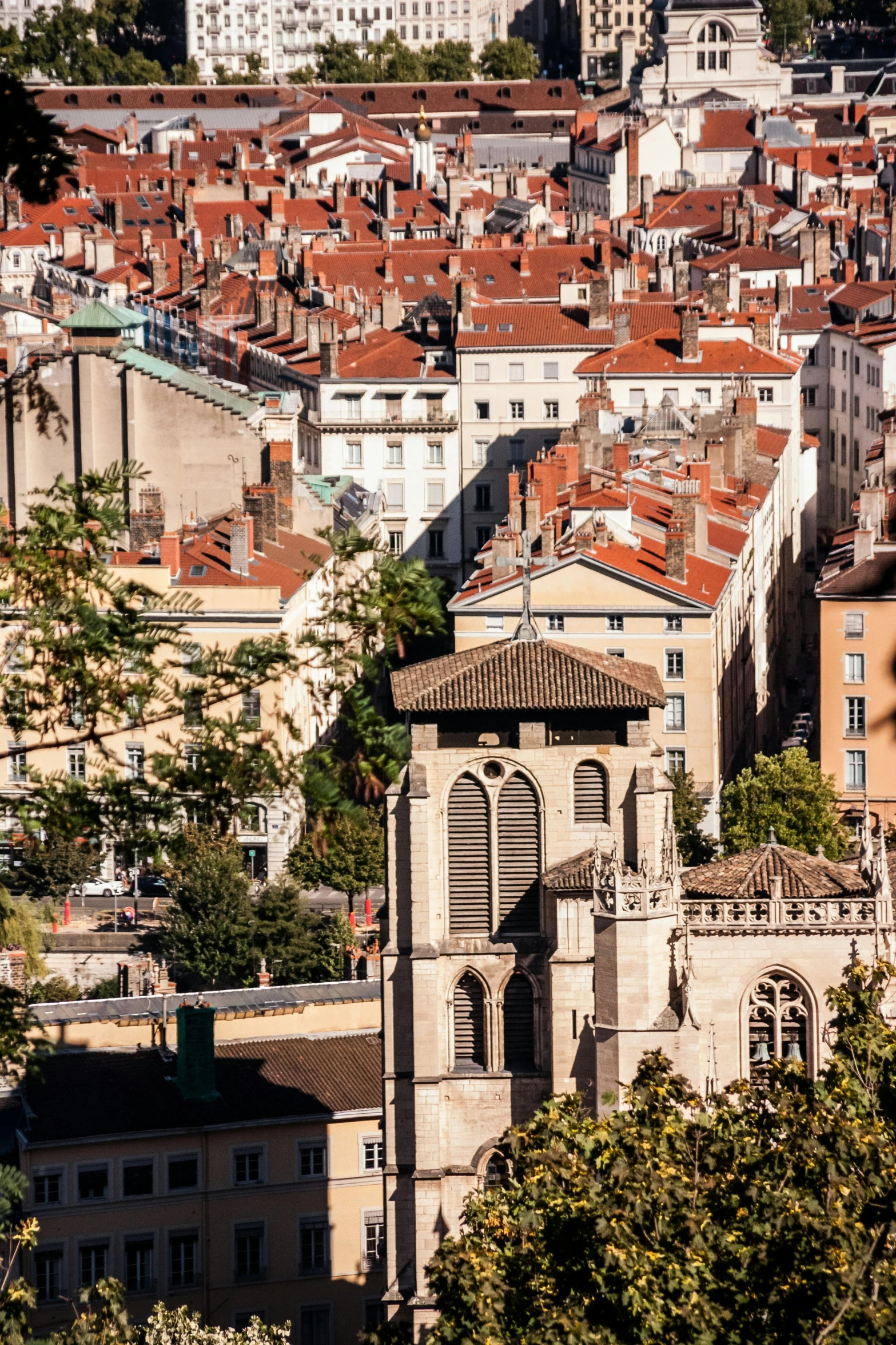 an old european city sits near some green trees